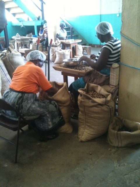 Grenada nutmeg factory