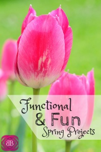 Are you ready to get out of the house and enjoy spring? Check out these fun and functional spring projects anyone can do! https://www.momsgotmoney.com/2015/02/26/fun-functional-spring-projects/